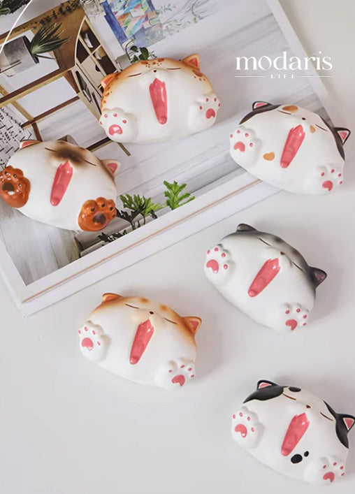 Playful Cat Memo Magnet